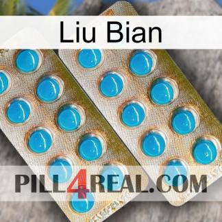 Liu Bian new08